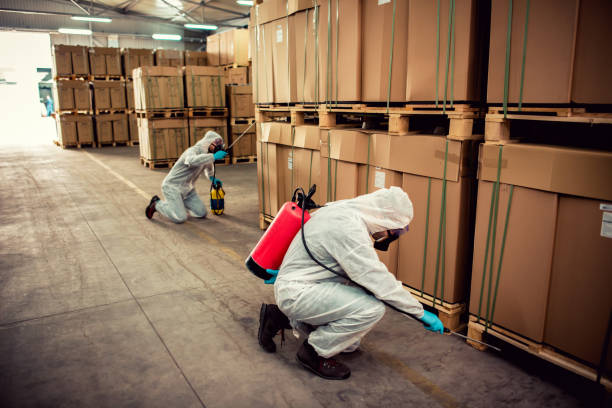 Best Mosquito Control Services  in Upper Saddle River, NJ