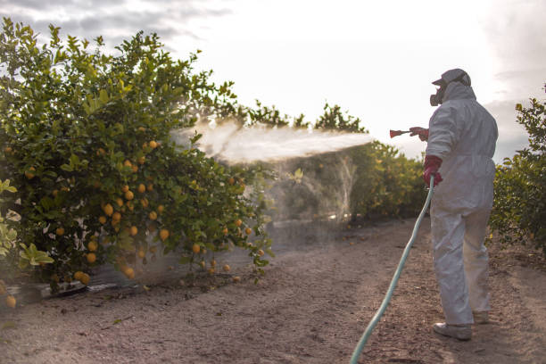 Best Insect Control  in Upper Saddle River, NJ