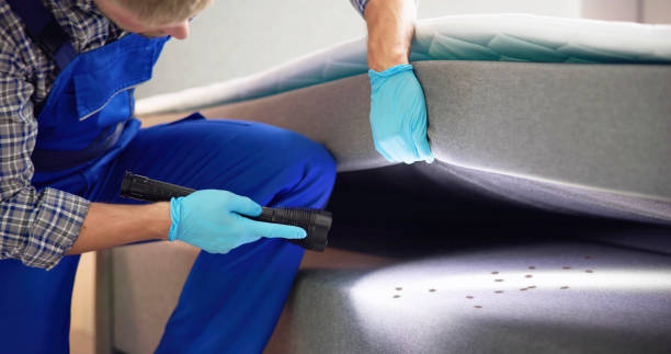 Trusted Upper Saddle River, NJ Pest Control Experts